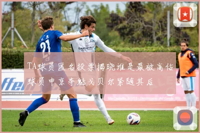 TA球员匿名投票揭晓谁是最被高估球员申京夺魁戈贝尔紧随其后