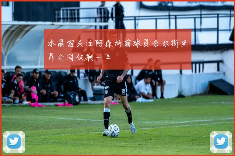 水晶宫关注阿森纳前球员奈尔斯里昂合同仅剩一年