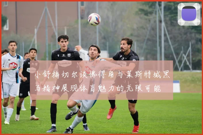 小舒梅切尔谈佛得角与莱斯特城黑马精神展现体育魅力的无限可能